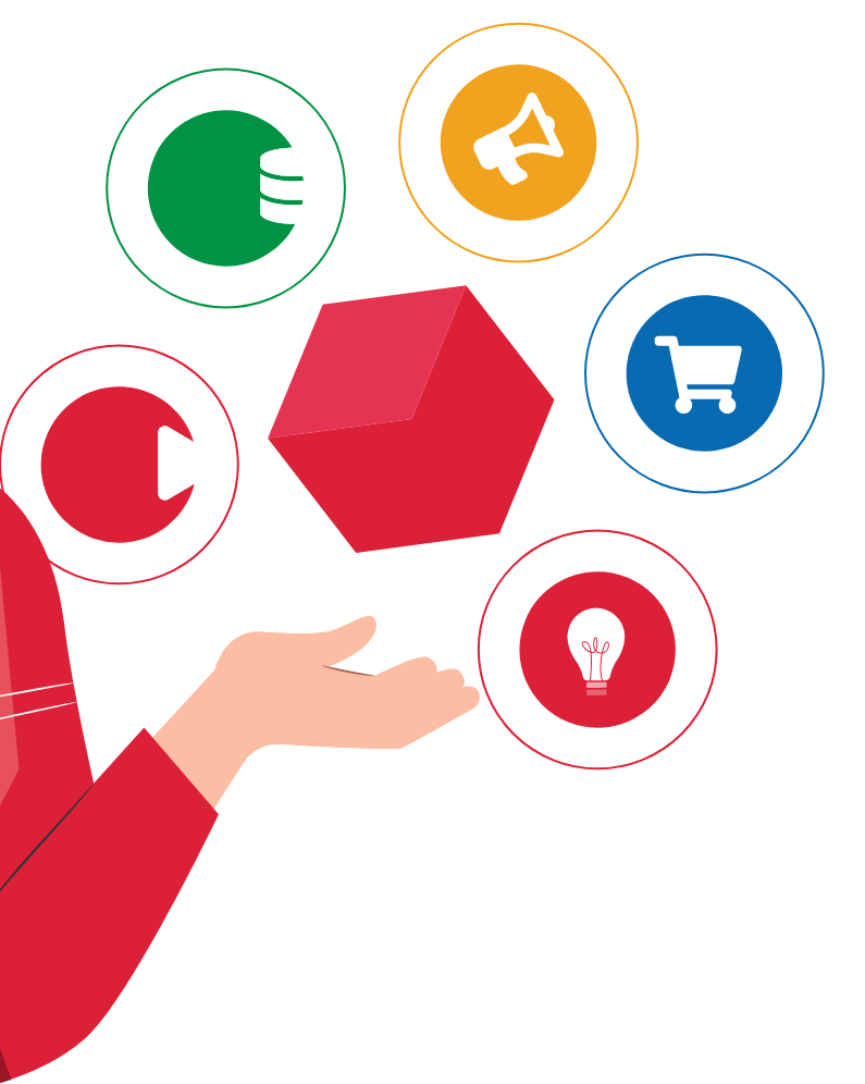 Our services are diverse