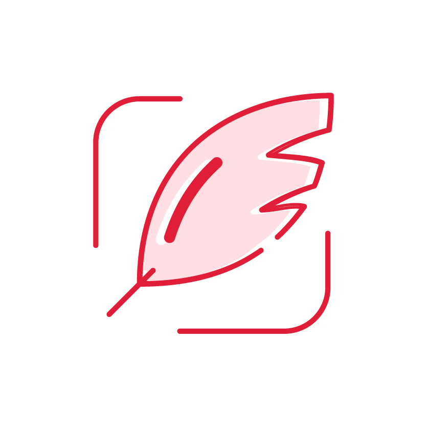 Create the right content